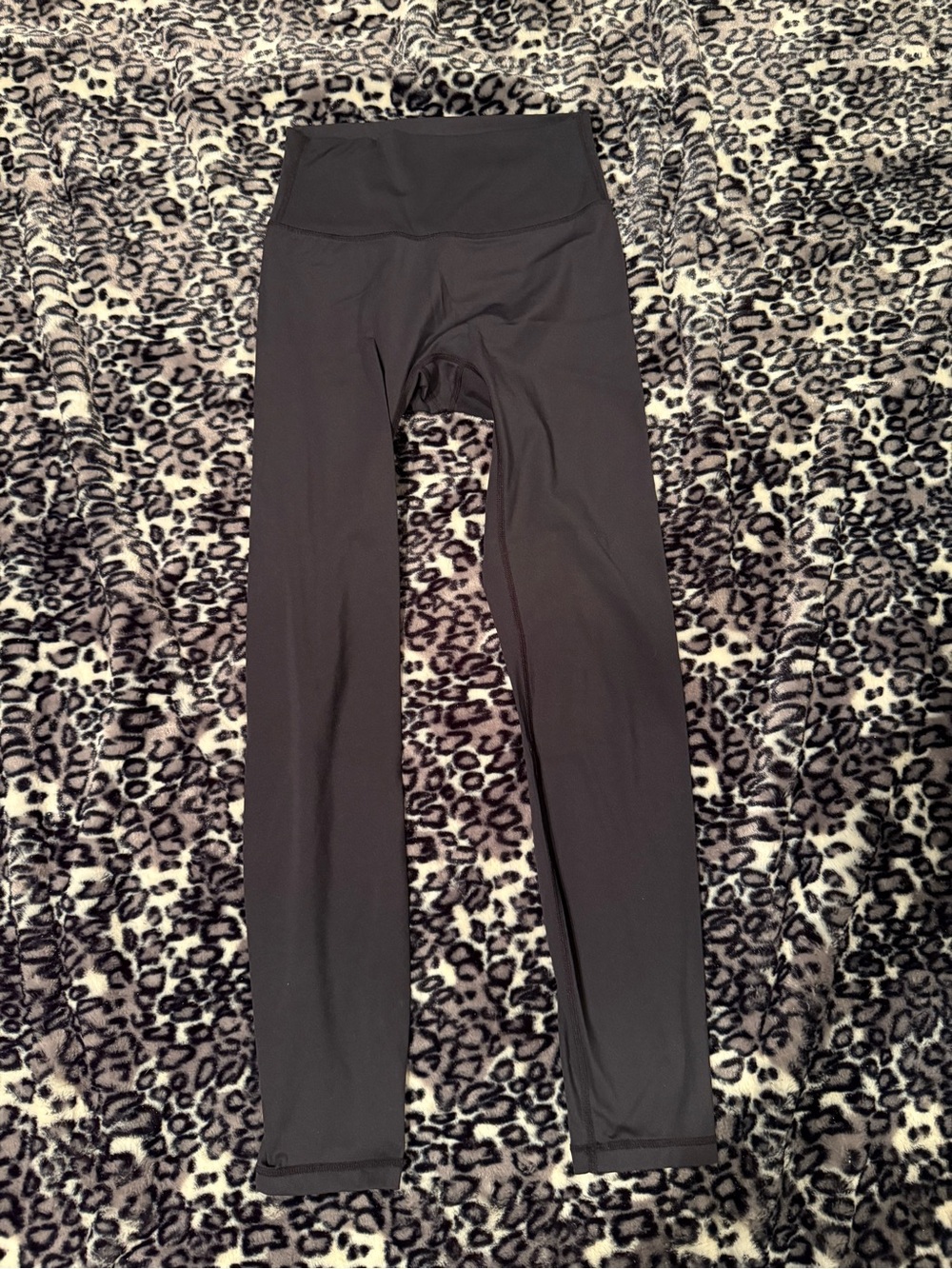 Paragon sculptseam leggings